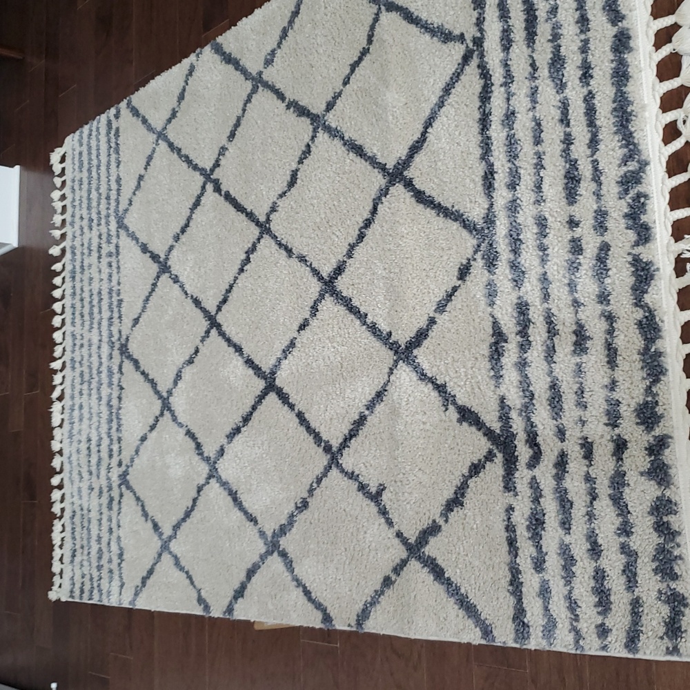 Cosmopolitan  Mason Shag Rug